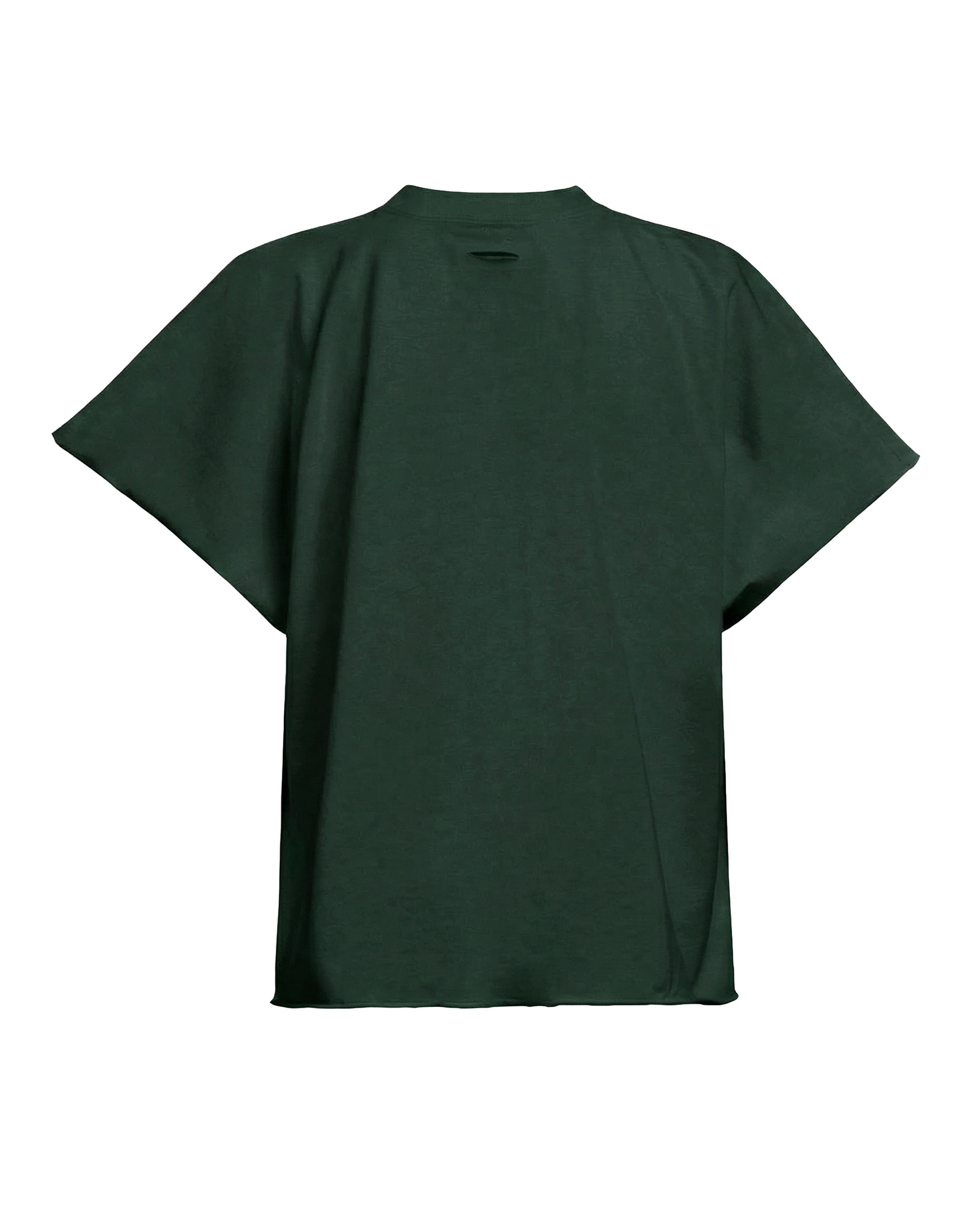 FLAGESHP TEE - GREEN